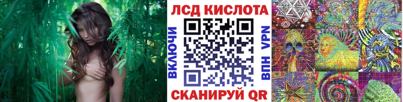 Марки N-bome 1500мкг  Купить закладки  Берёзовский 