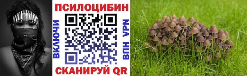 Псилоцибиновые грибы MAGIC MUSHROOMS Купить закладки Берёзовский